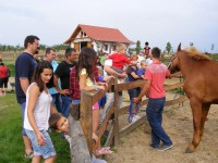 /album/rendezvenyhaz-peceli-egyhazi-iskola-csaladi-napja/dscf7683-jpg2/