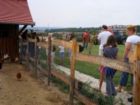 /album/rendezvenyhaz-peceli-egyhazi-iskola-csaladi-napja/dscf7707-jpg2/