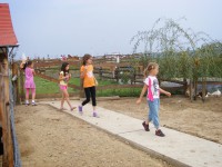 /album/rendezvenyhaz-peceli-egyhazi-iskola-csaladi-napja/dscf7715-jpg2/