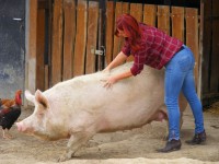 /album/rendezvenyhaz-peceli-egyhazi-iskola-csaladi-napja/dscf7735-jpg1/