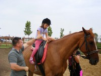 /album/rendezvenyhaz-peceli-egyhazi-iskola-csaladi-napja/dscf7781-jpg1/