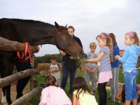 /album/rendezvenyhaz-peceli-egyhazi-iskola-csaladi-napja/dscf7846-jpg1/