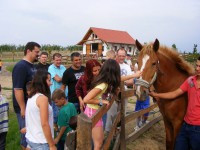 /album/rendezvenyhaz/dscf7681-jpg3/